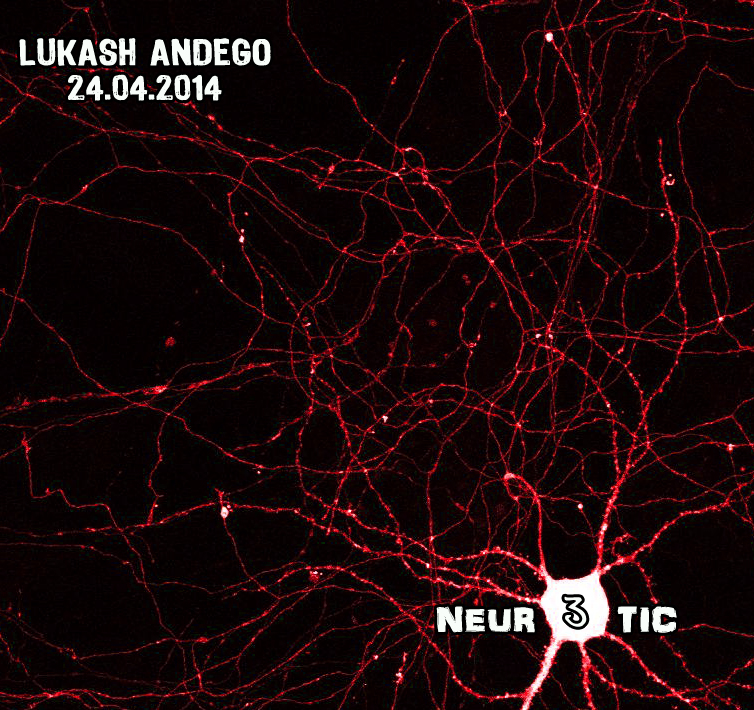 http://www.andego.net/neurotic3.jpg